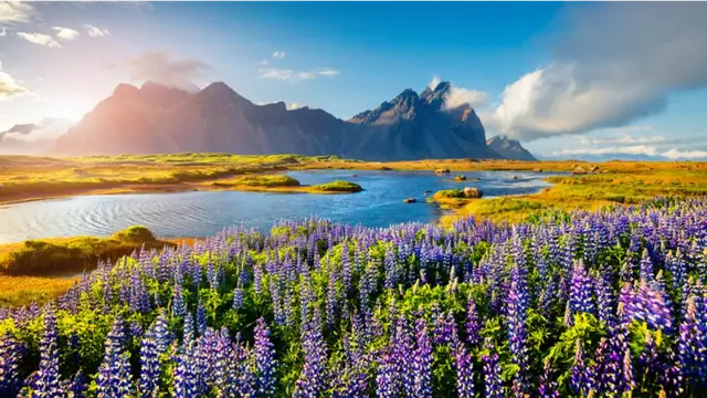 Golden Circle Rondreis IJsland