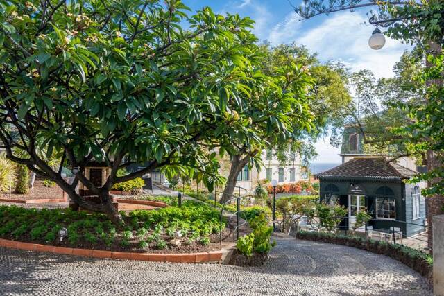 Arts in Conde Carvalhal botanische tuin