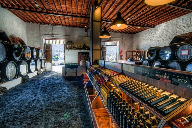 Wijnproeverij bij een bodega