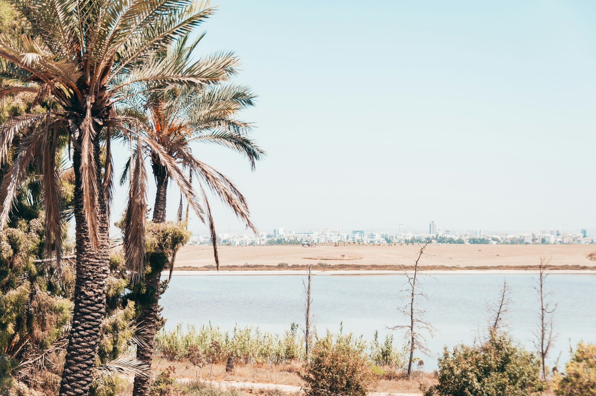 Larnaca &ndash; palmen en boulevard