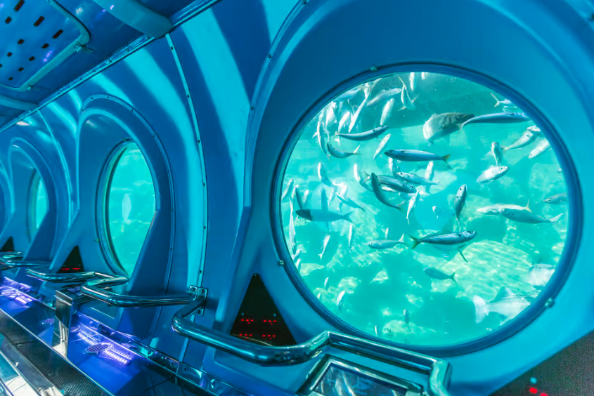 Onderwaterformaties en wrakresten