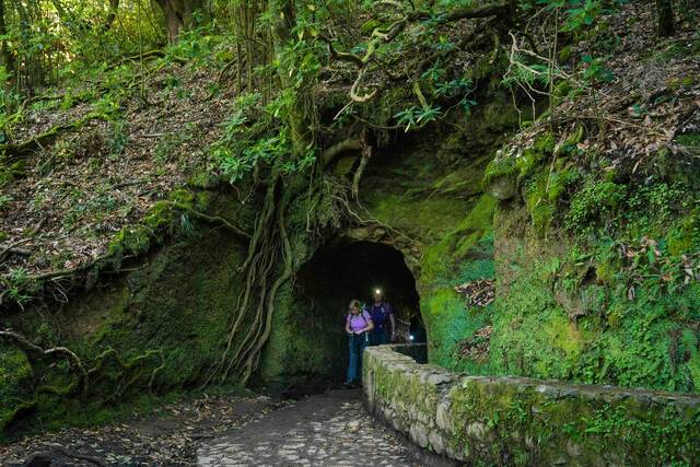 Wandelen langs een levada