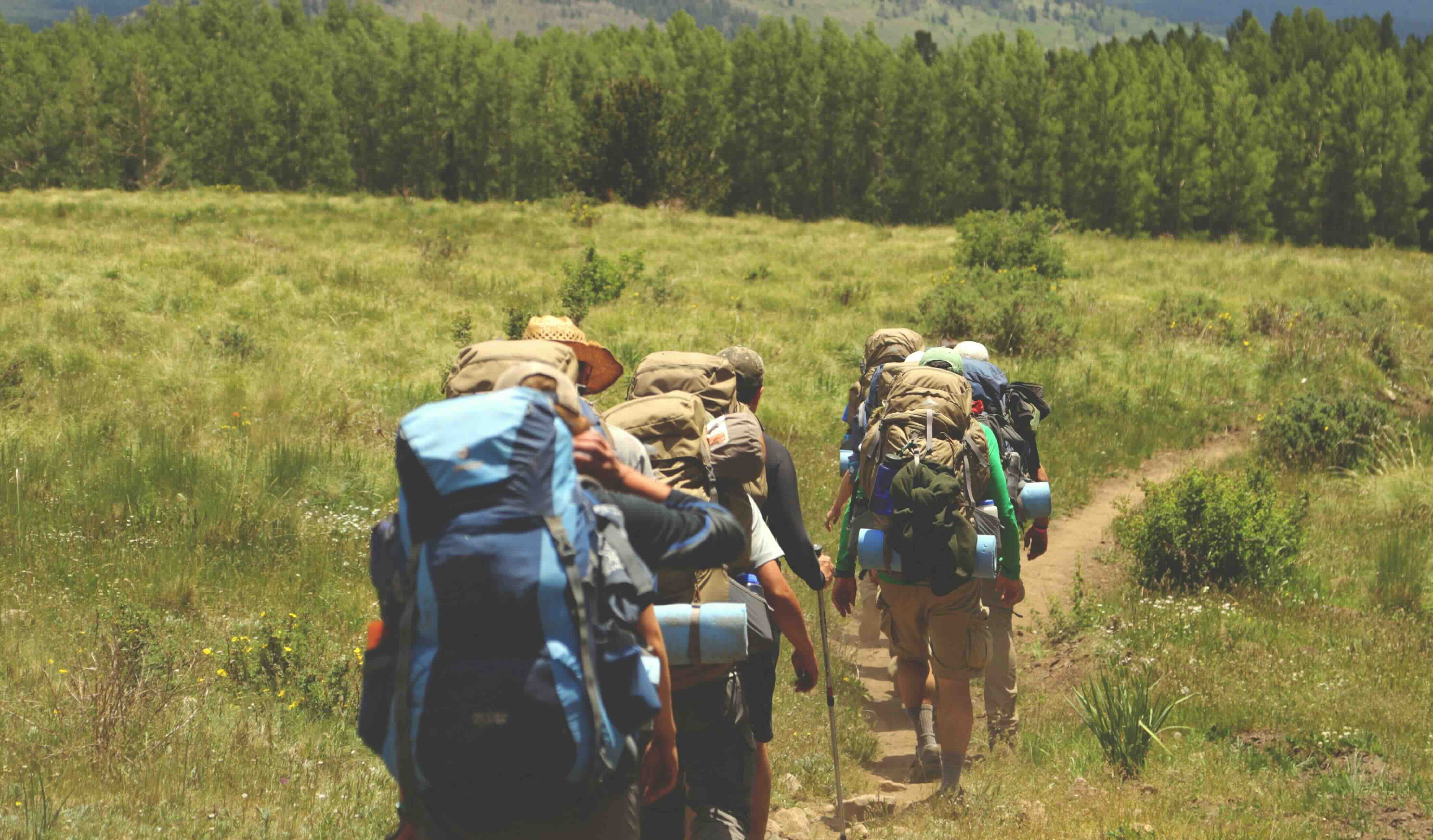 Madeira &ndash; levada en groen