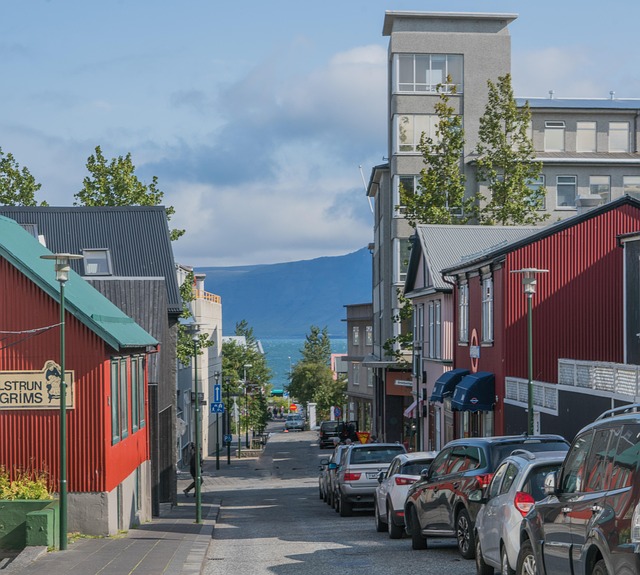 Reykjavík met bergen in de verte