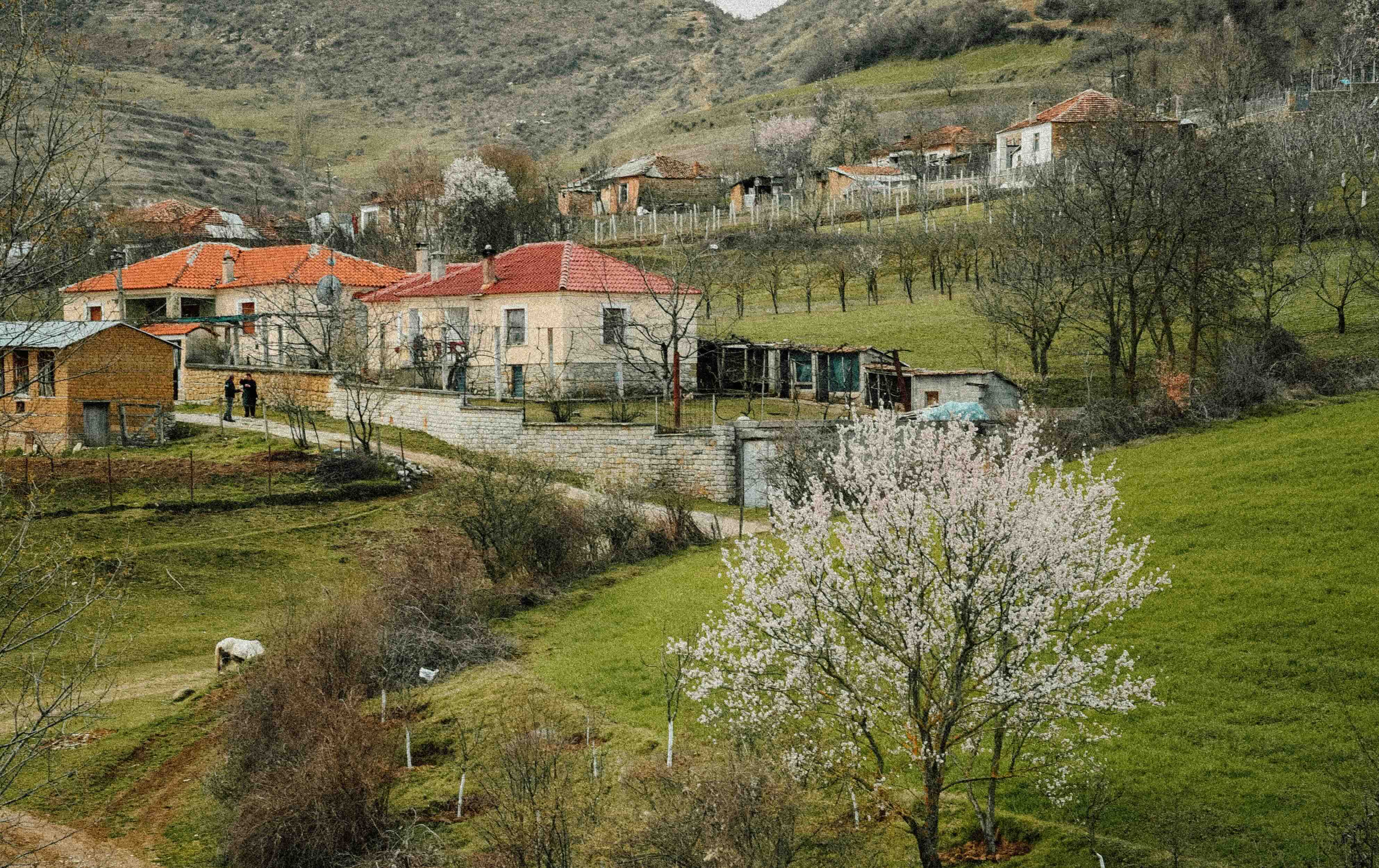 Stadspark met groene lanen