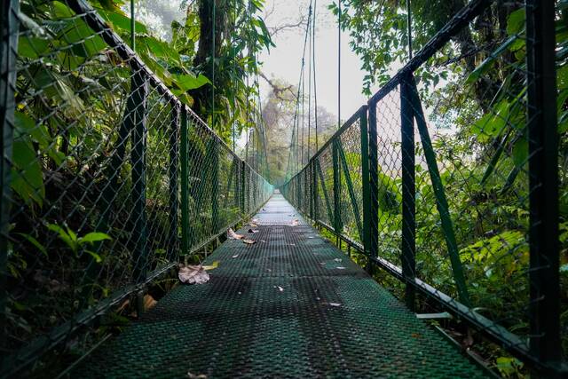 Arenal – hangbruggen
