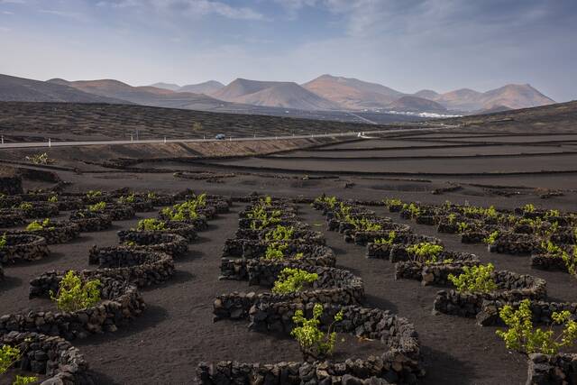 Vulkanisch landschap van Lanzarote