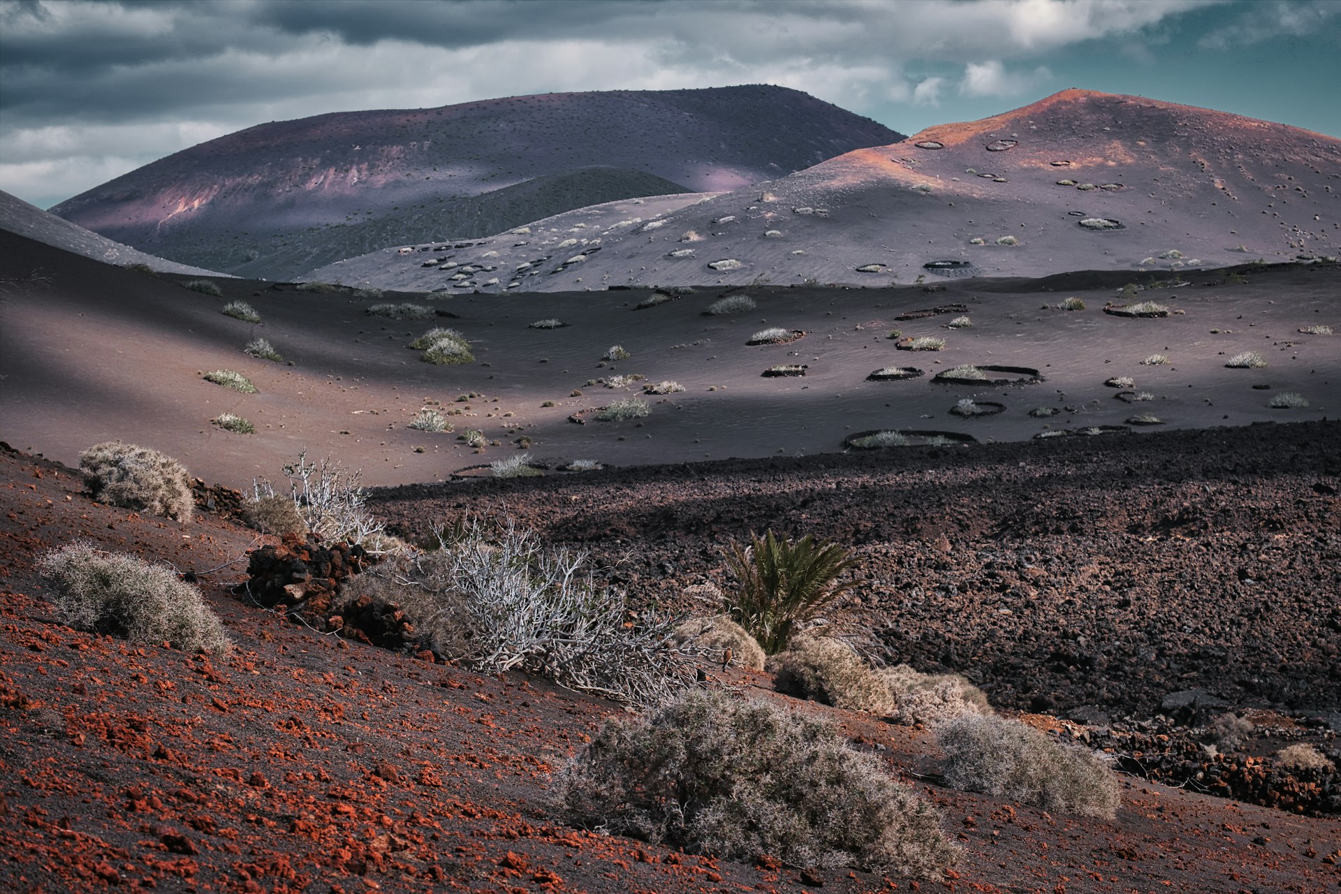 Zwarte lavavelden op Lanzarote