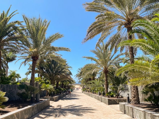 Puerto de las Nieves &ndash; natuurlijke baden