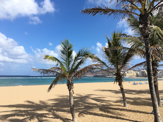 Las Canteras stadsstrand