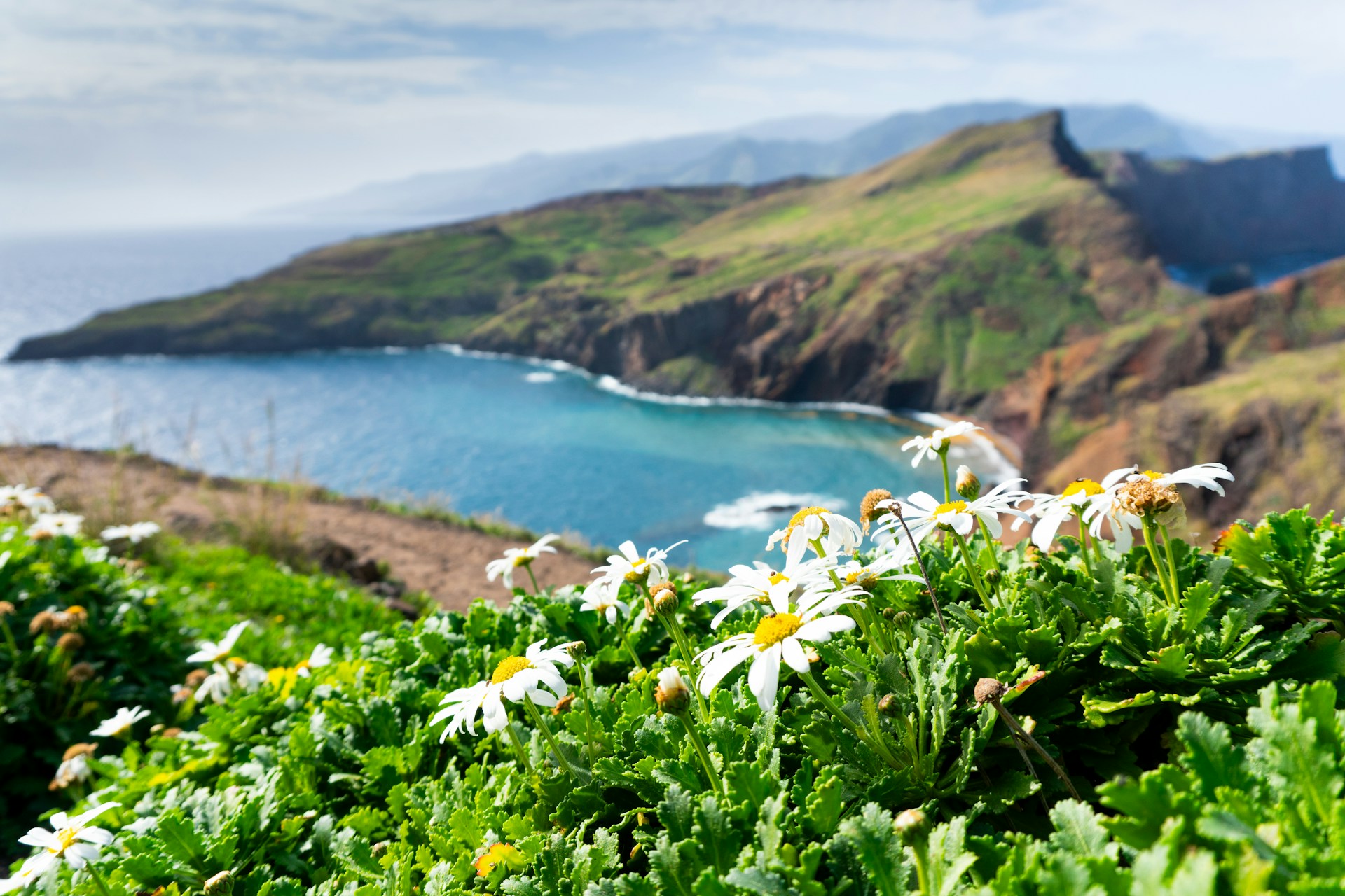 Beste reistijd Madeira: wanneer ga je op reis?