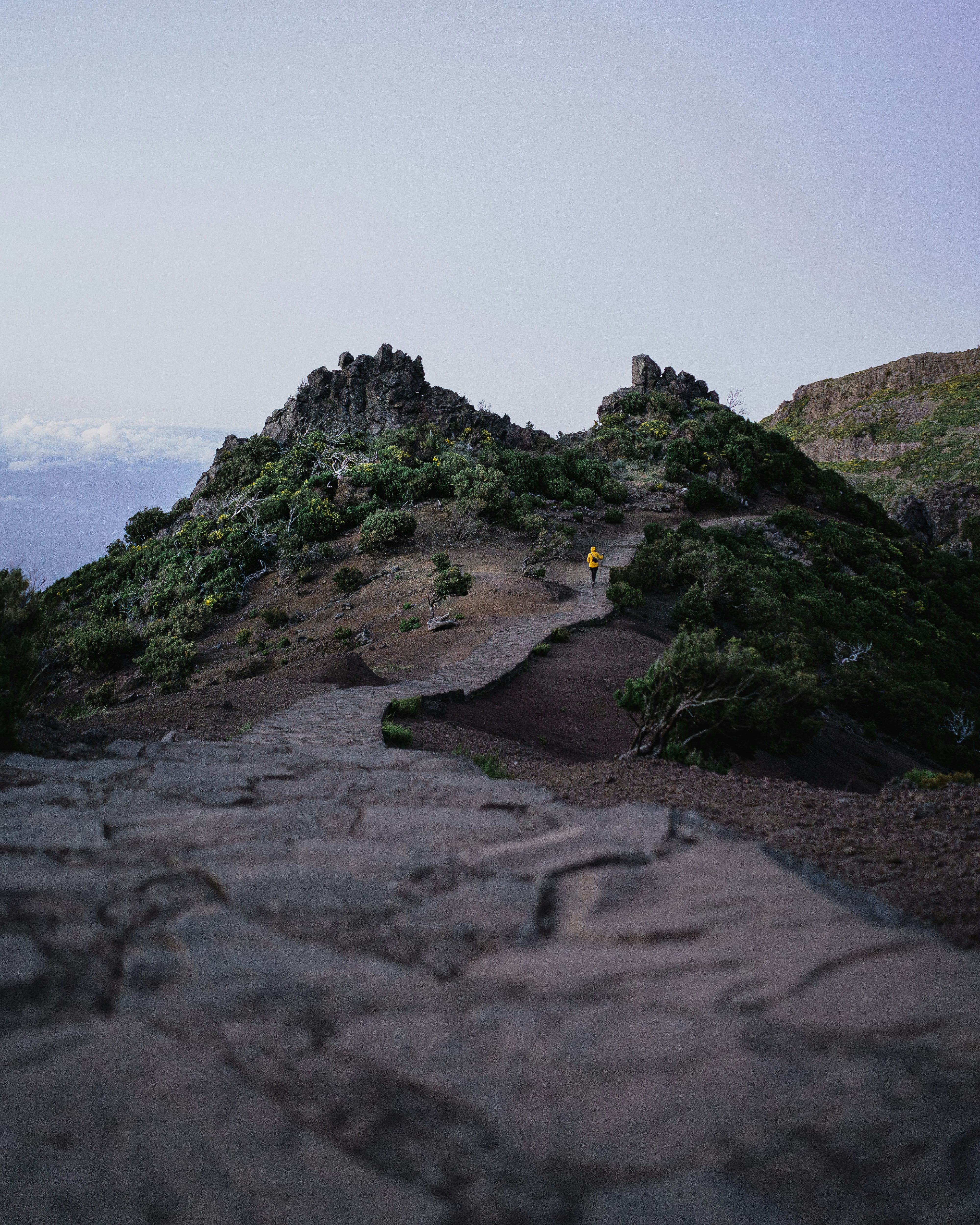 Rauhe Nordküste von Madeira