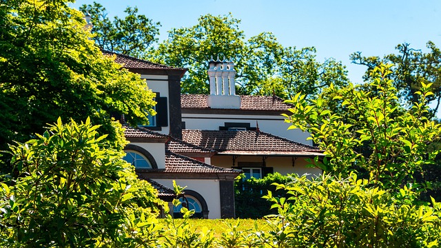 Groen landschap nabij Arco de S&atilde;o Jorge