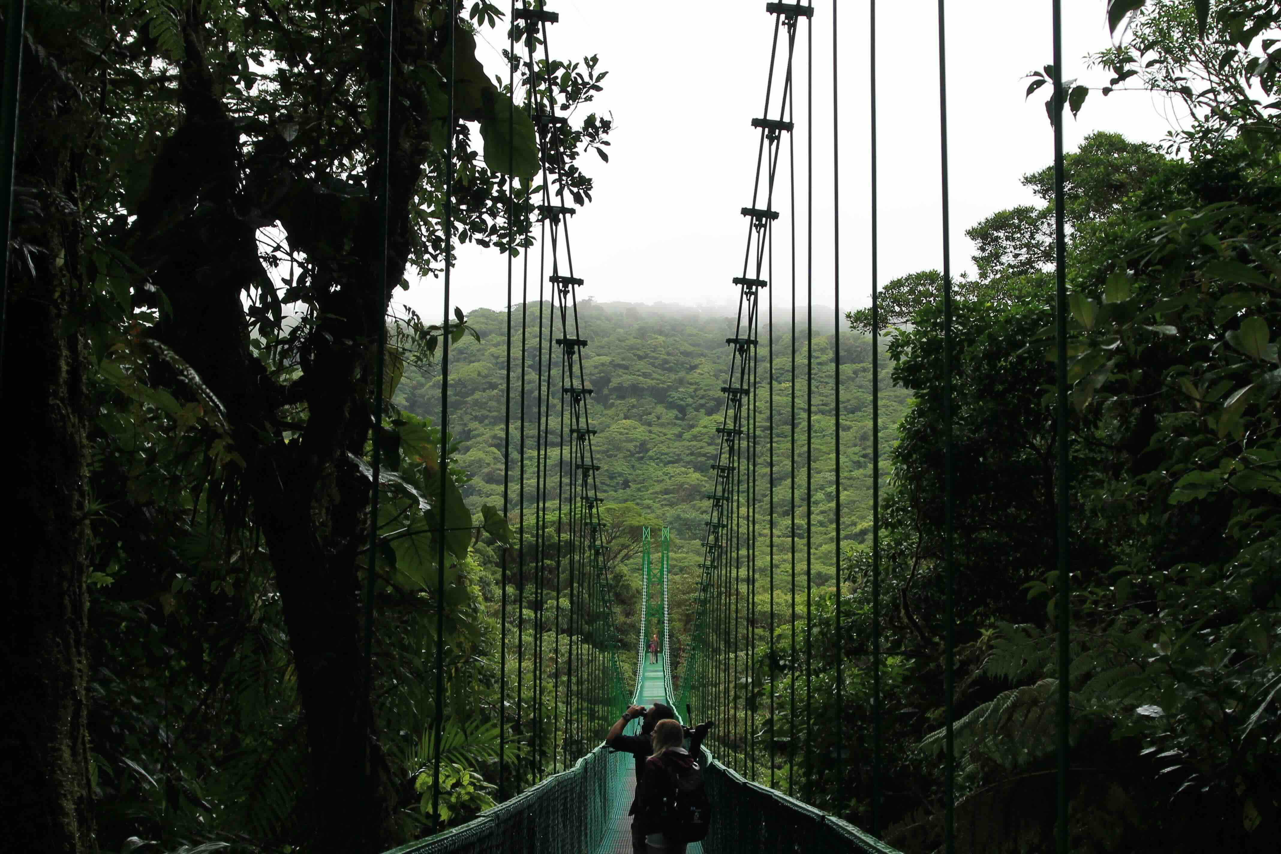 Monteverde bruggen
