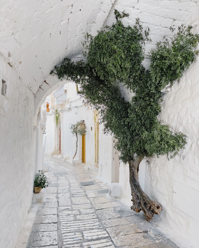 Uitzicht Ostuni