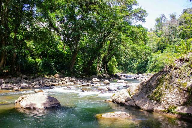 Rivier Puerto Viejo