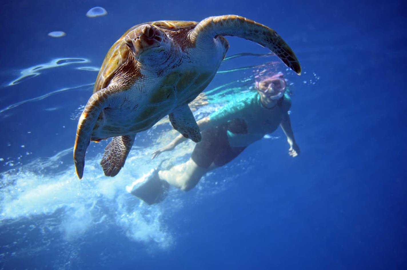 Snorkelen in helder water