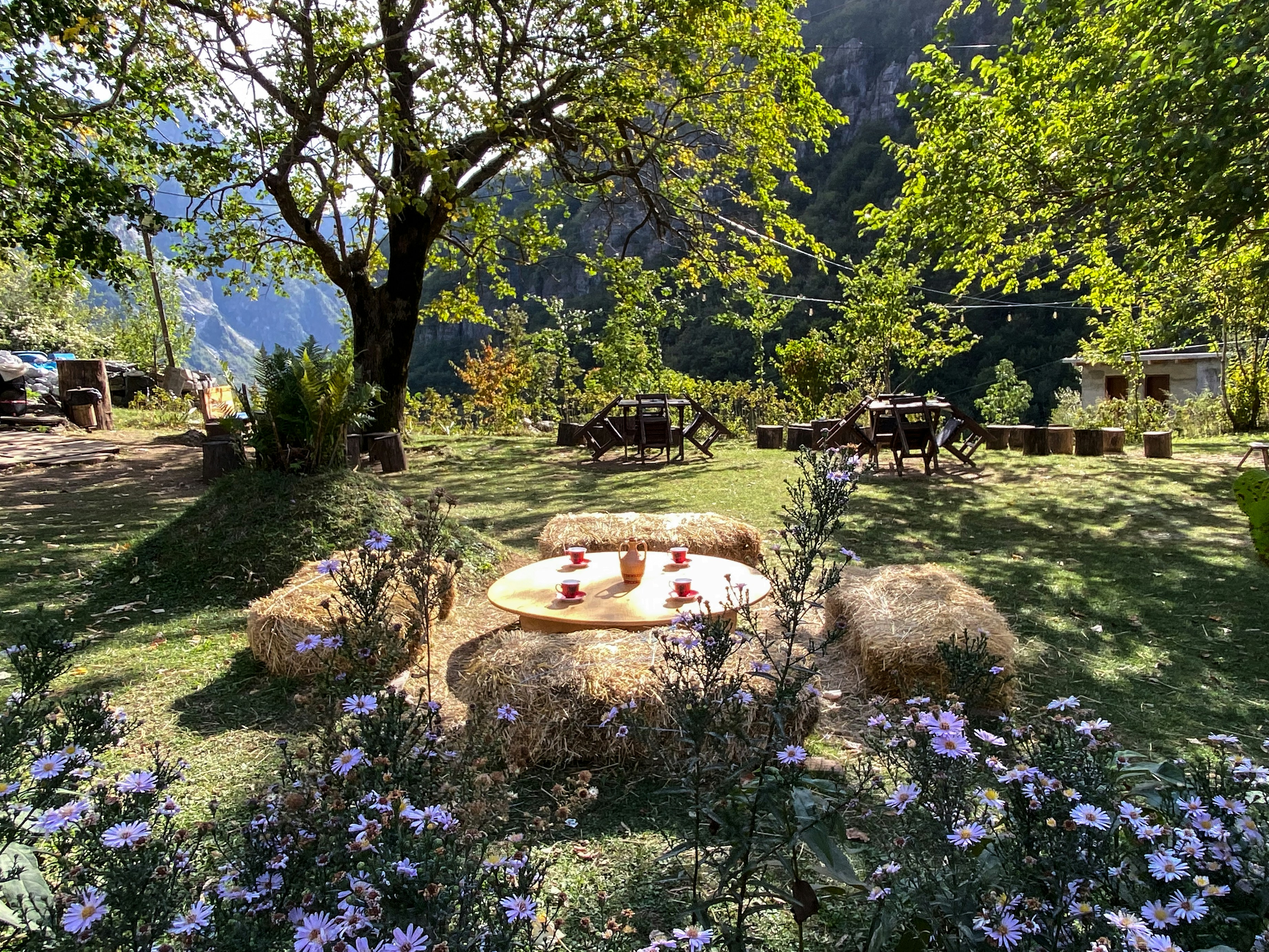 Houten brug in berglandschap