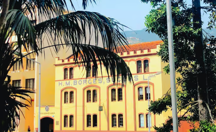 Madeira-wijnvaten in de kelder