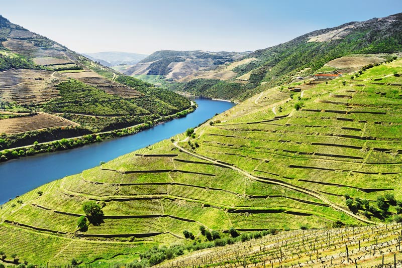 5x doen in Porto