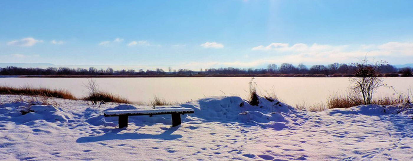 Stedentrips in de winter