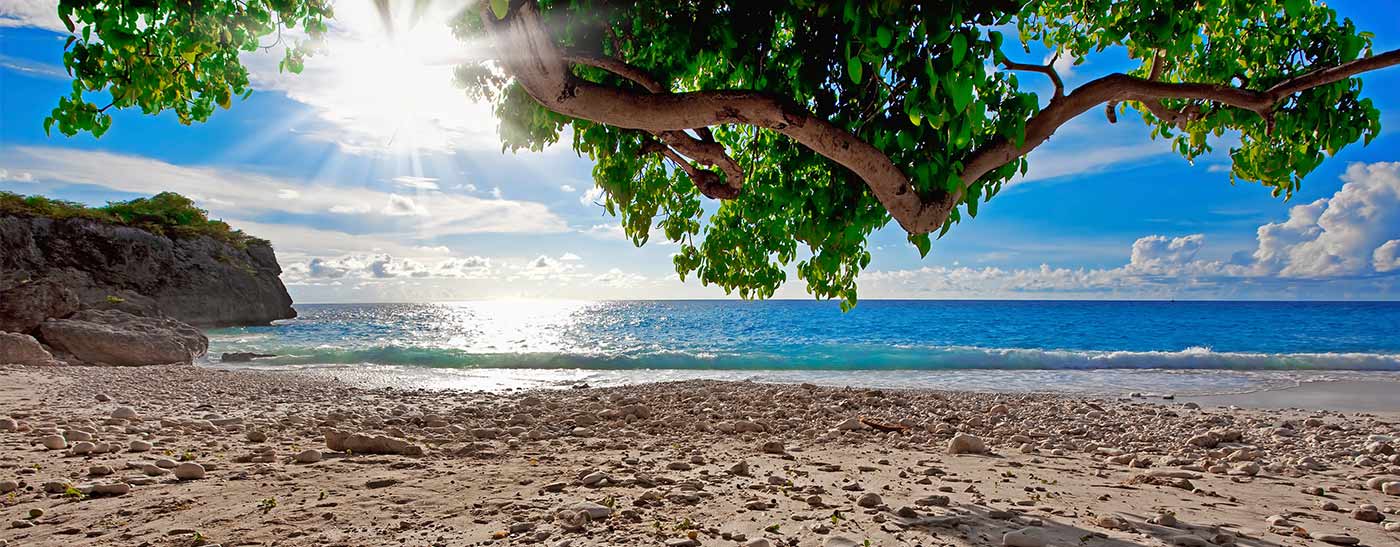 Wat te doen tijdens een vakantie Curaçao