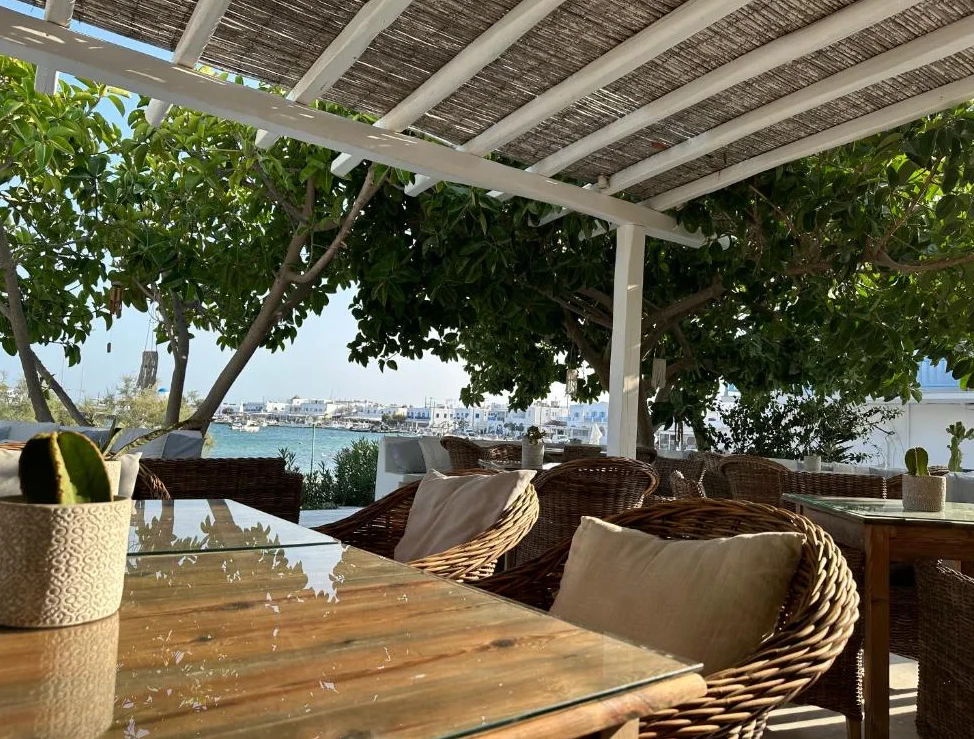 Hotel Artemis terras