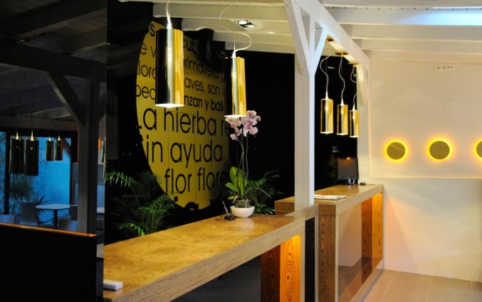 Receptie van Hotel Domus in Malaga