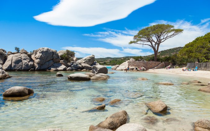 Corsica - Natuur