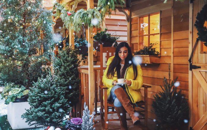 Winter wonderland hotel Arlo Soho new york