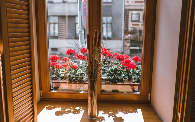 Raam van Hotel Hanza in Riga