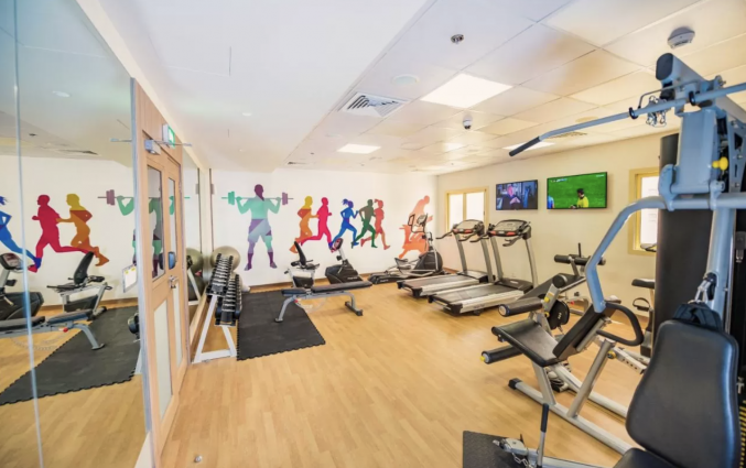 Fitness MENA Plaza Hotel Albarsha Dubai