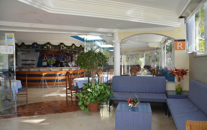 Bar van Studio's Pez Azul op Tenerife