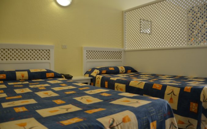 Studio van Studio's Pez Azul op Tenerife