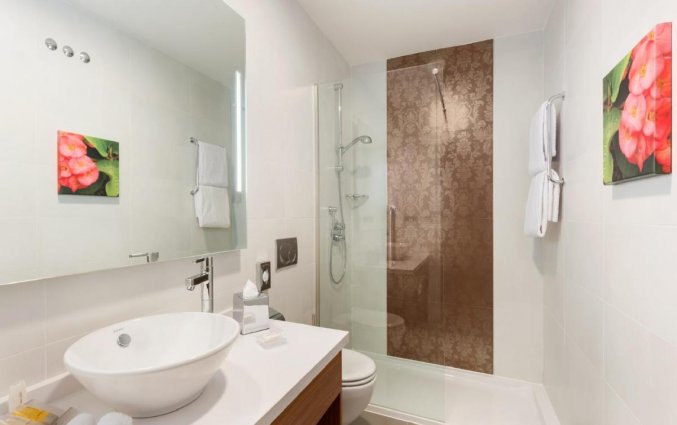 Badkamer bij Hotel Garden Inn Sevilla