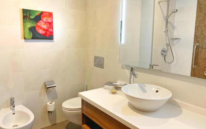 Badkamer bij Hotel Garden Inn Sevilla