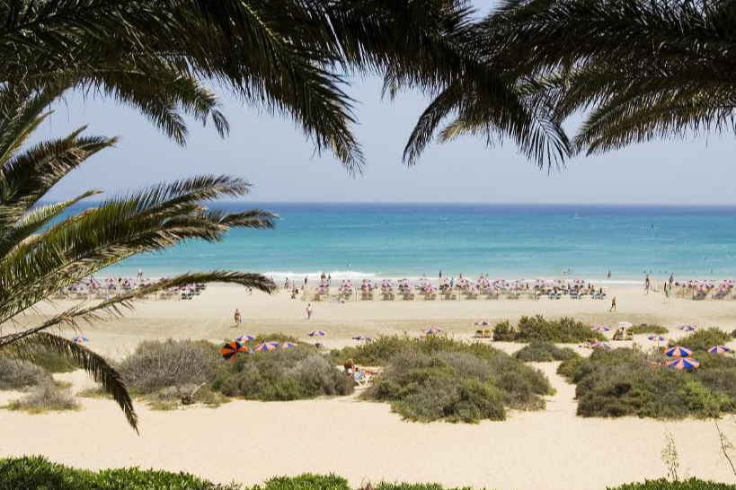 SBH Monica Beach