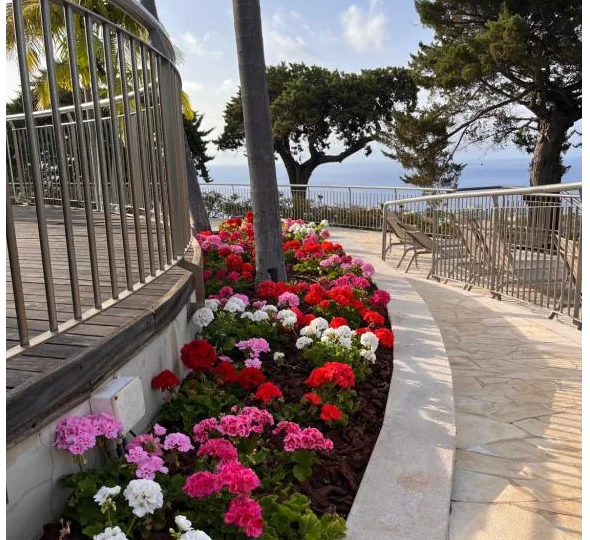 Hotel Quinta das Vistas Palace Gardens - Adults Only tuin 