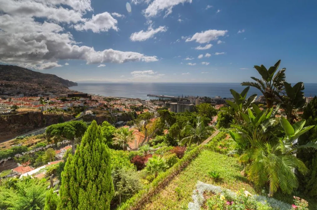 Hotel Quinta das Vistas Palace Gardens - Adults Only uitzicht 