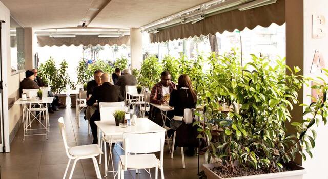 Hotel Stelle