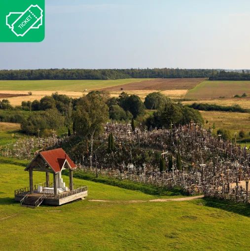 Stedentrip inclusief excursie Vilnius