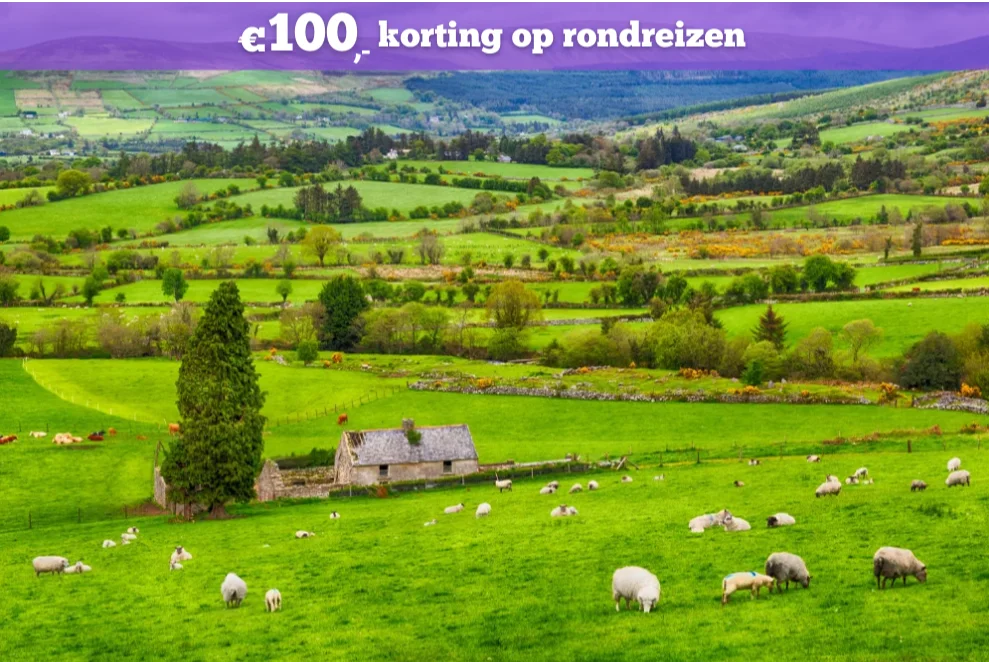 schaapjes