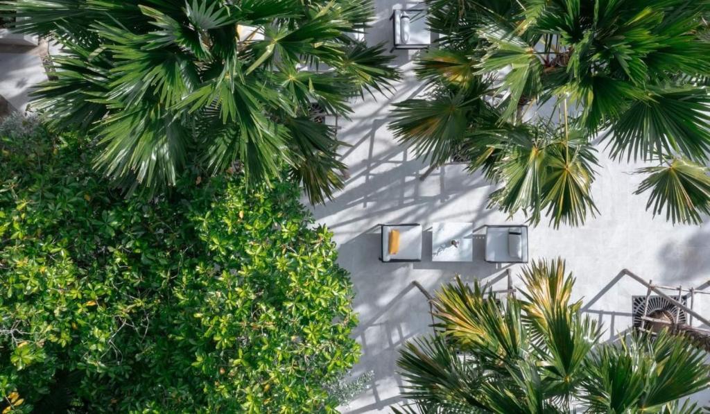 Goed ontbijt in het Royal Paradise Hotel & Spa