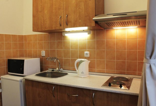 Keuken van een studio van appartement Anyday in Praag