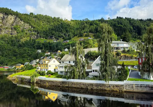 Fjordenreis1