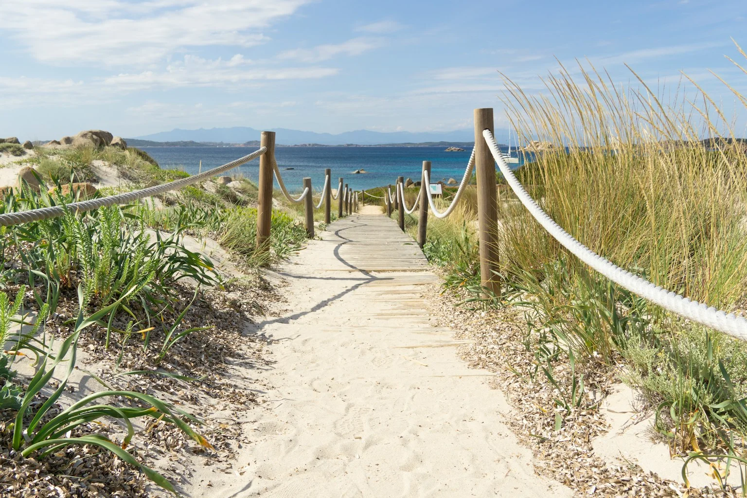 Kleinschalig-Sardinie1