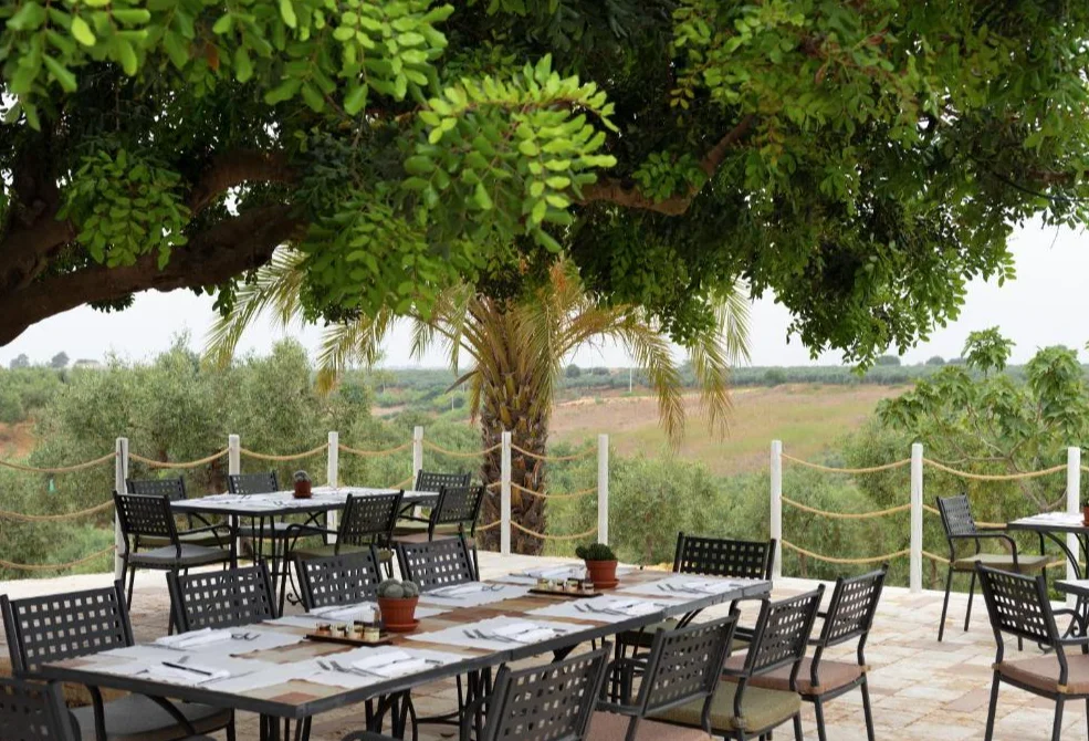 Momentum Wellness Bioresort terras
