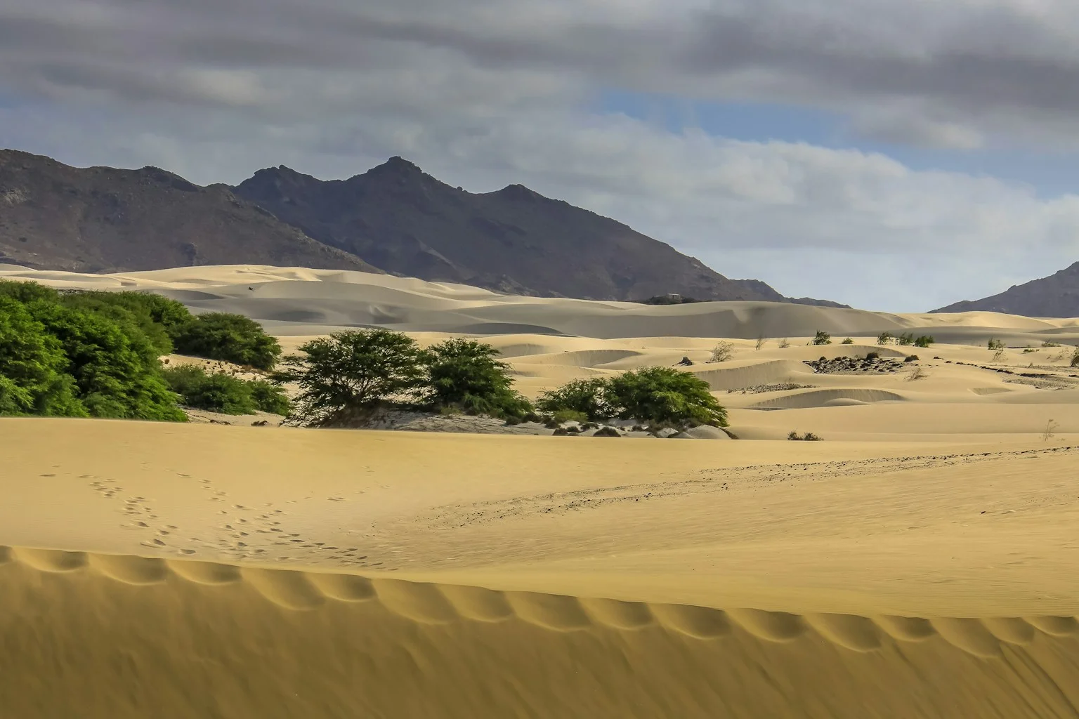 Boaviast5