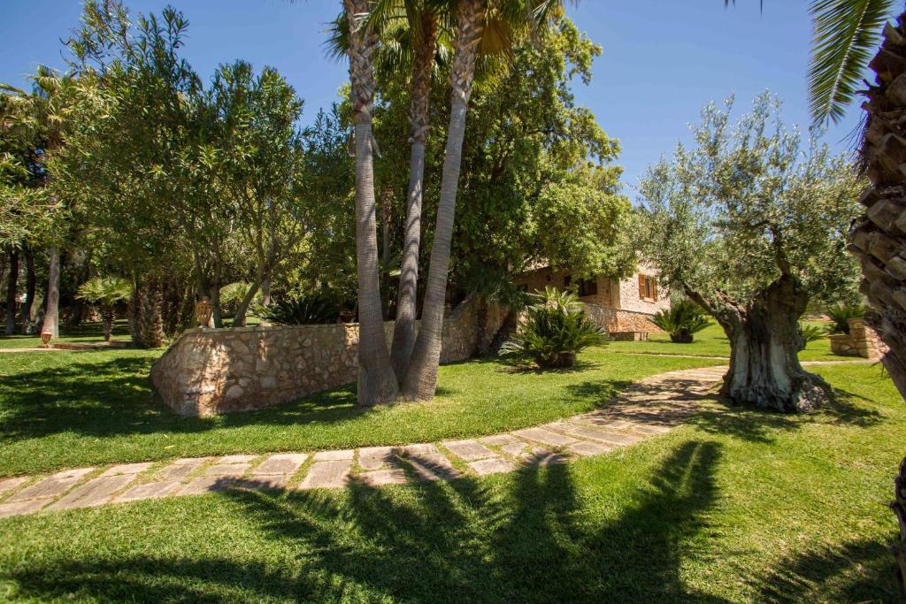Hotel Rural Son Terrassa - tuin met olijfbomen
