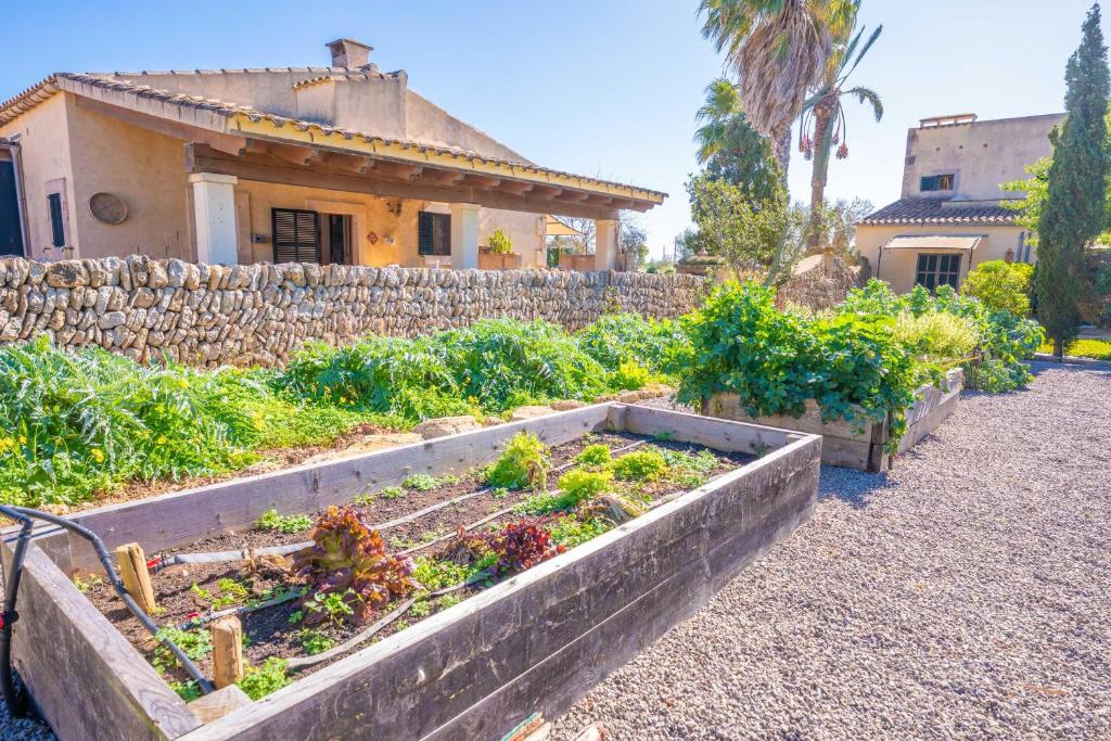Agroturismo Mondrago -Antic Na Martina- - moestuin